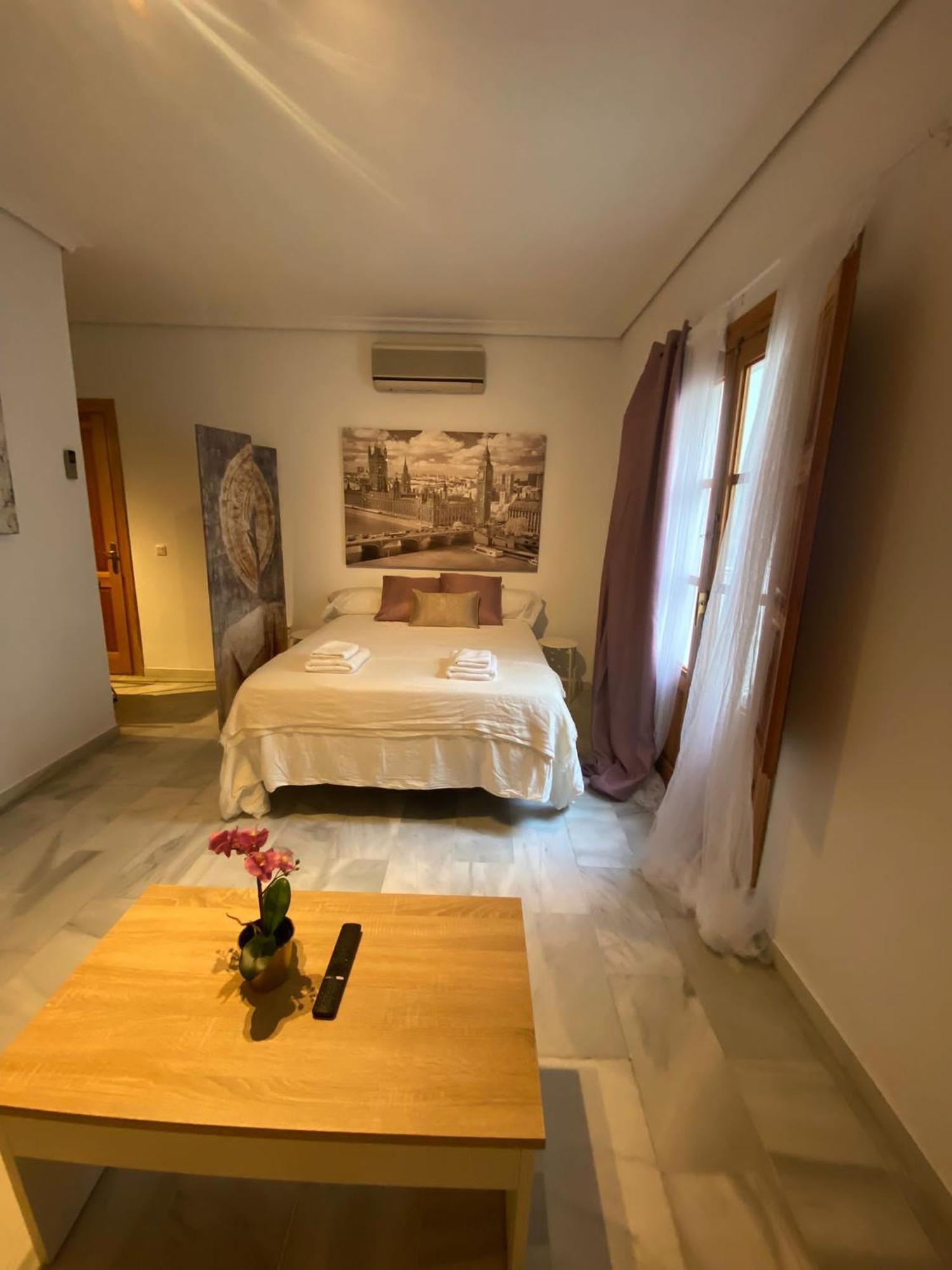 Magnifico Loft Sevillano En El Centro Luaran gambar